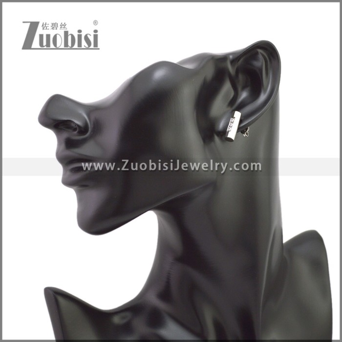 Stainless Steel Earring e002284S