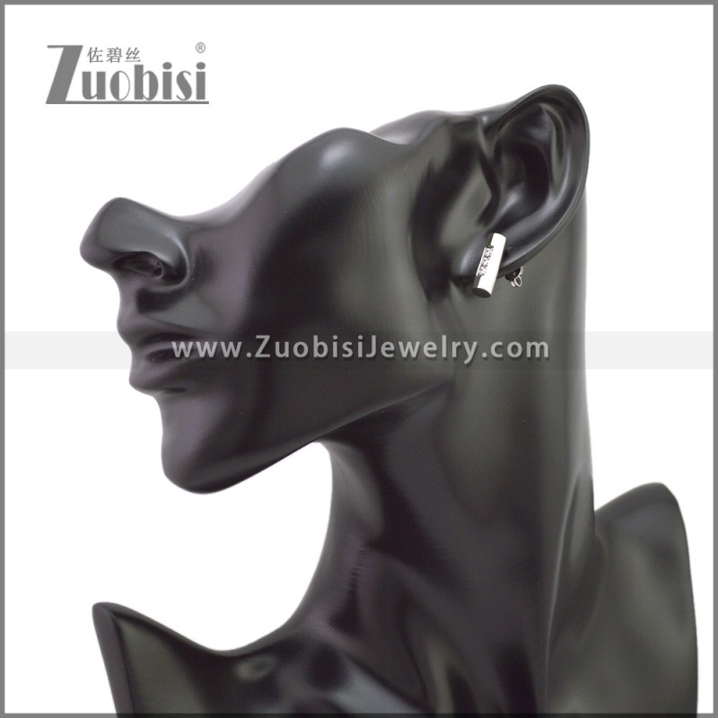Stainless Steel Earring e002284S