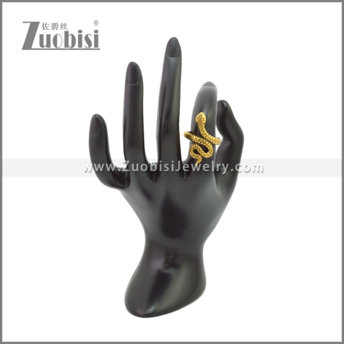 Stainless Steel Ring r009540GH