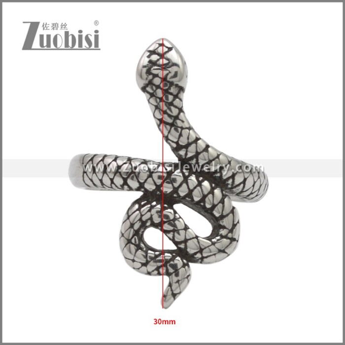 Stainless Steel Ring r009540SH
