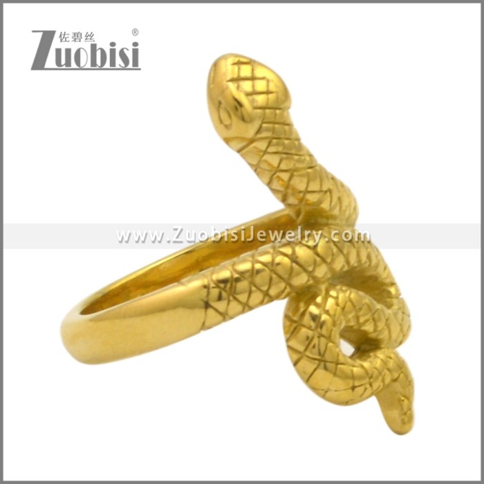 Stainless Steel Ring r009540G