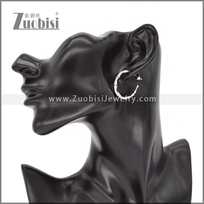 Stainless Steel Earring e002309