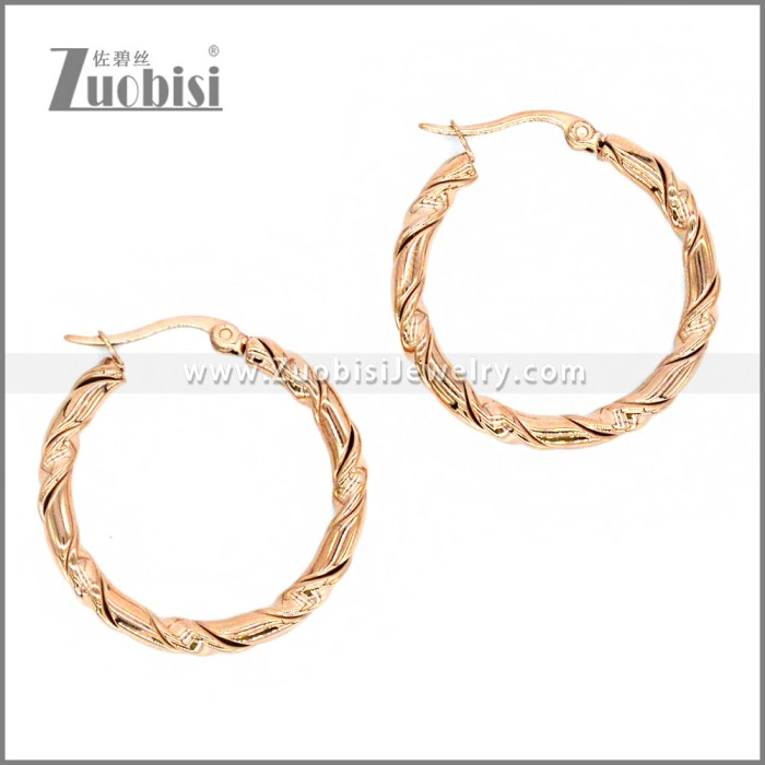 Stainless Steel Earring e002302