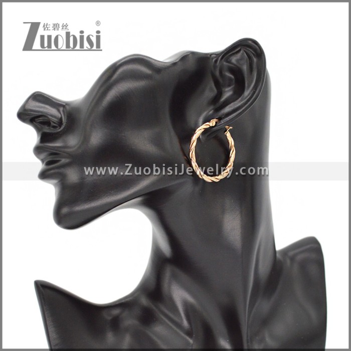 Stainless Steel Earring e002308