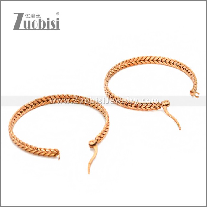 Stainless Steel Earring e002290