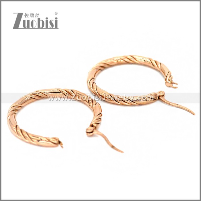 Stainless Steel Earring e002299