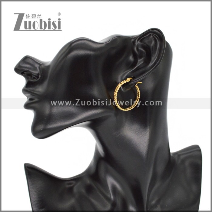 Stainless Steel Earring e002286