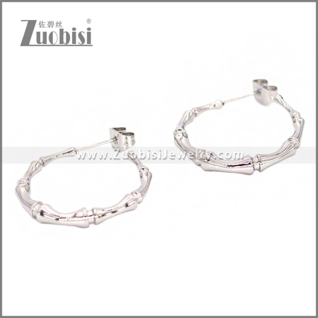 Stainless Steel Earring e002309