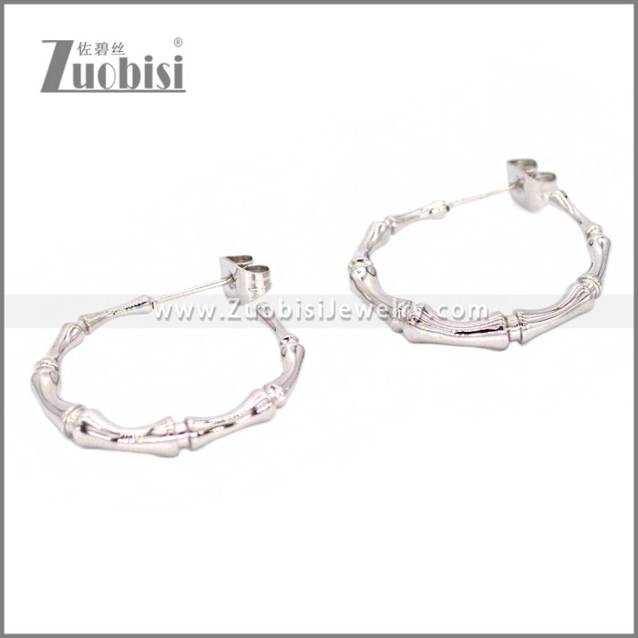 Stainless Steel Earring e002309