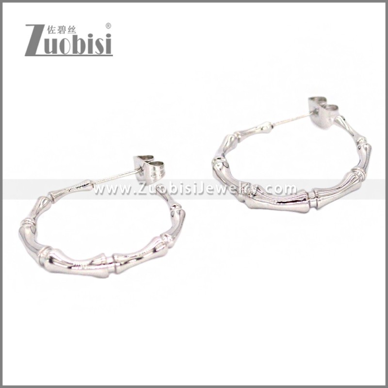 Stainless Steel Earring e002309