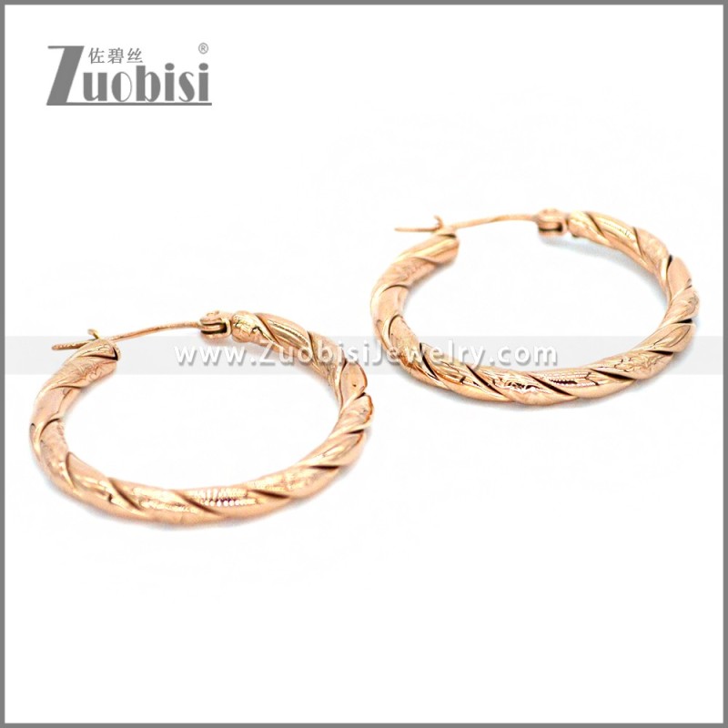 Stainless Steel Earring e002305