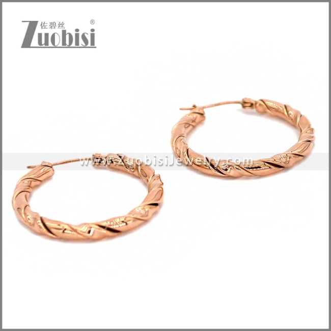 Stainless Steel Earring e002302