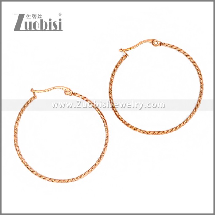 Stainless Steel Earring e002290