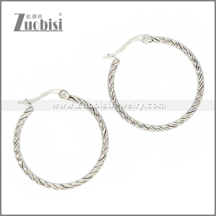 Stainless Steel Earring e002291