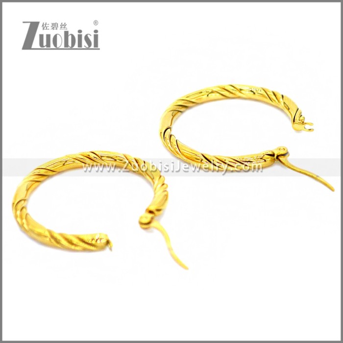 Stainless Steel Earring e002298