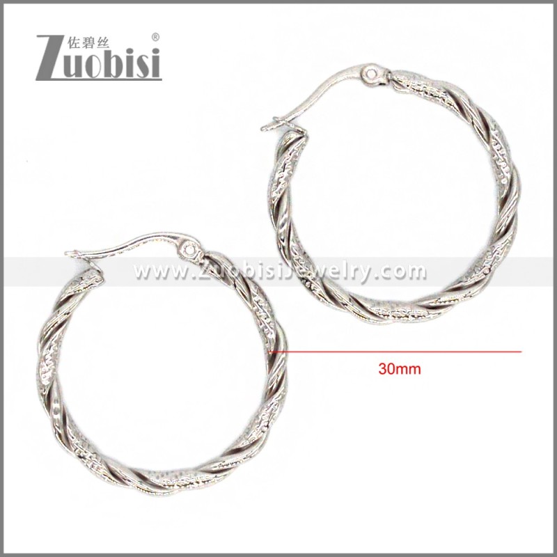 Stainless Steel Earring e002306