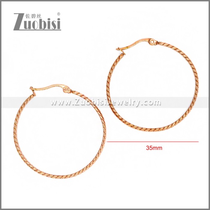 Stainless Steel Earring e002290