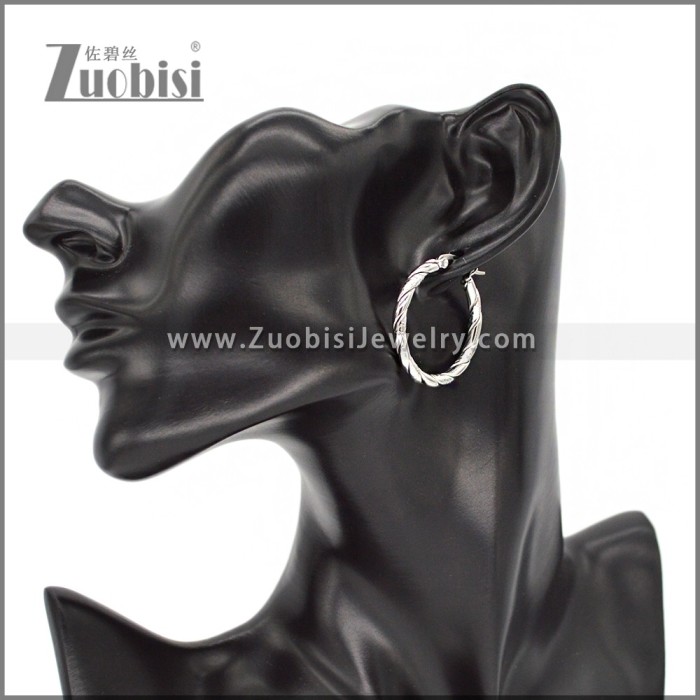 Stainless Steel Earring e002303