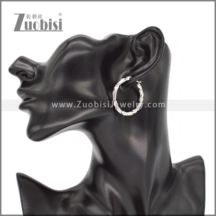 Stainless Steel Earring e002300
