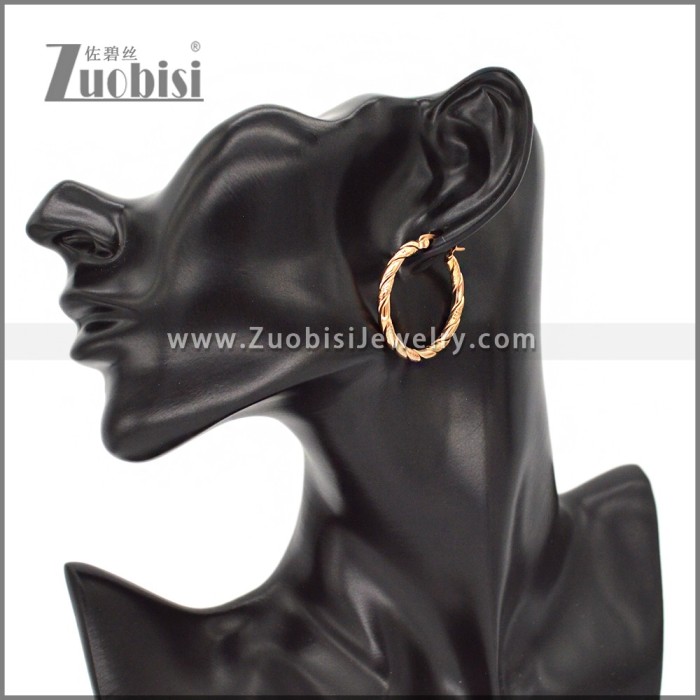Stainless Steel Earring e002305