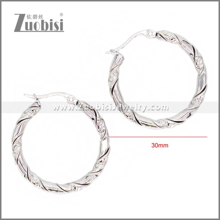 Stainless Steel Earring e002300