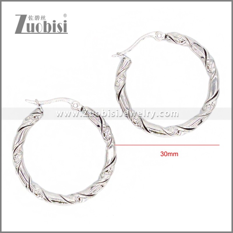Stainless Steel Earring e002300