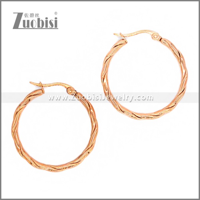 Stainless Steel Earring e002296