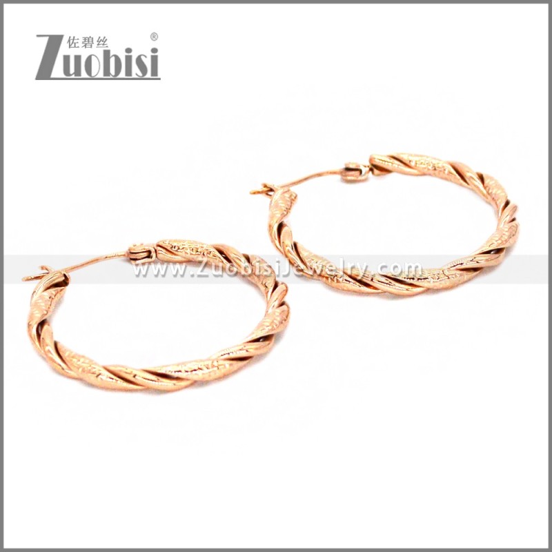 Stainless Steel Earring e002308