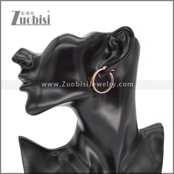 Stainless Steel Earring e002287