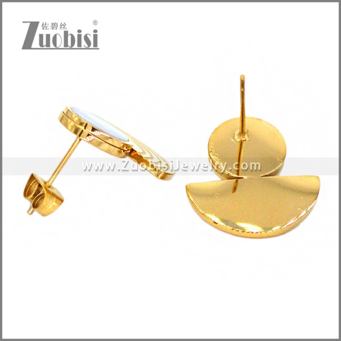 Stainless Steel Earring e002310