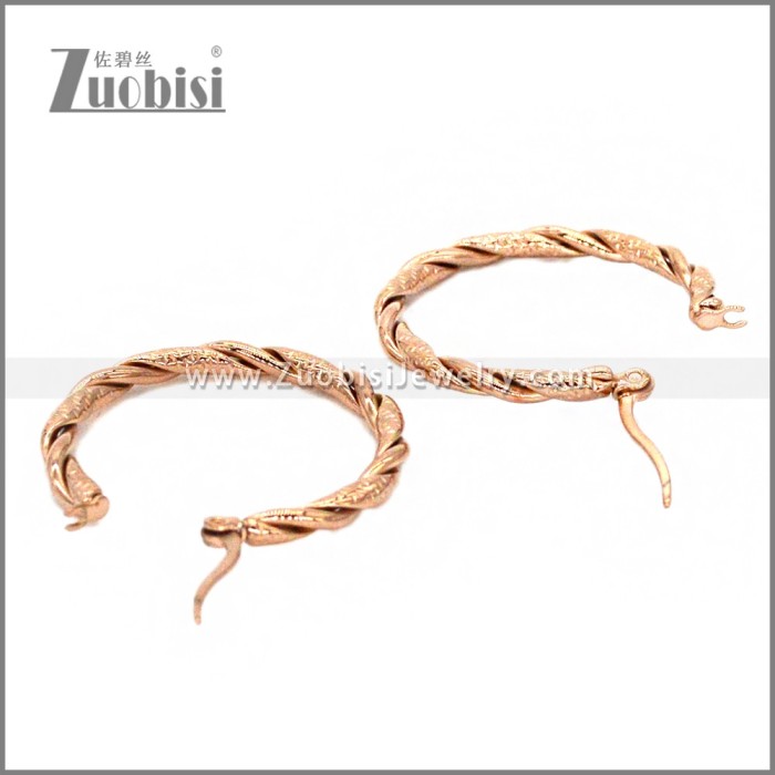 Stainless Steel Earring e002308