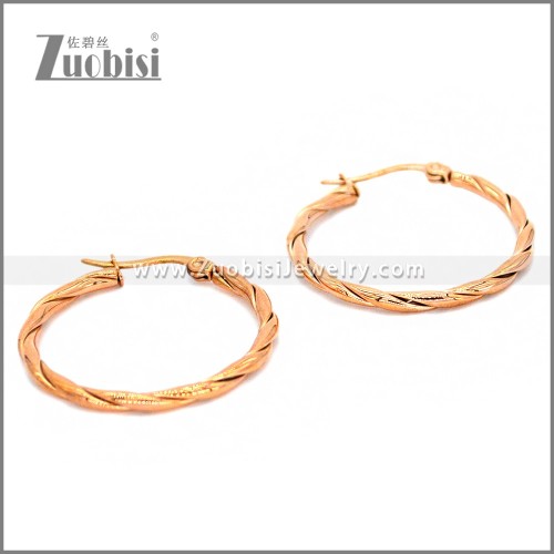 Stainless Steel Earring e002296