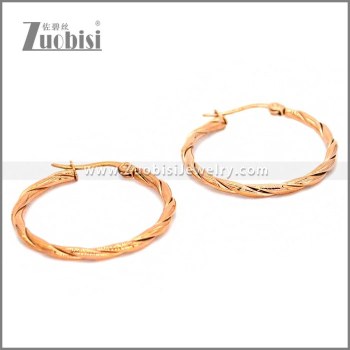 Stainless Steel Earring e002296