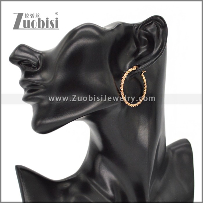 Stainless Steel Earring e002293