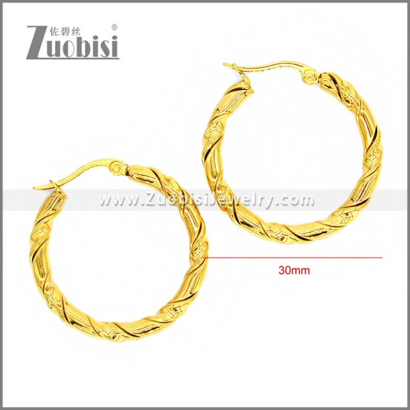 Stainless Steel Earring e002301