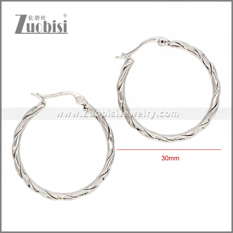 Stainless Steel Earring e002294