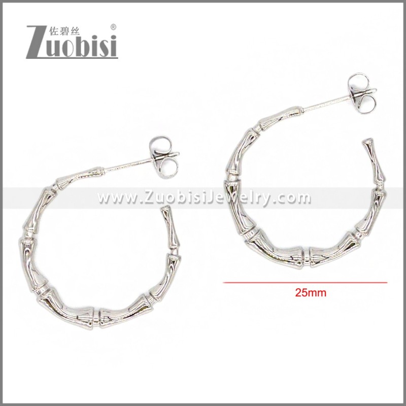 Stainless Steel Earring e002309
