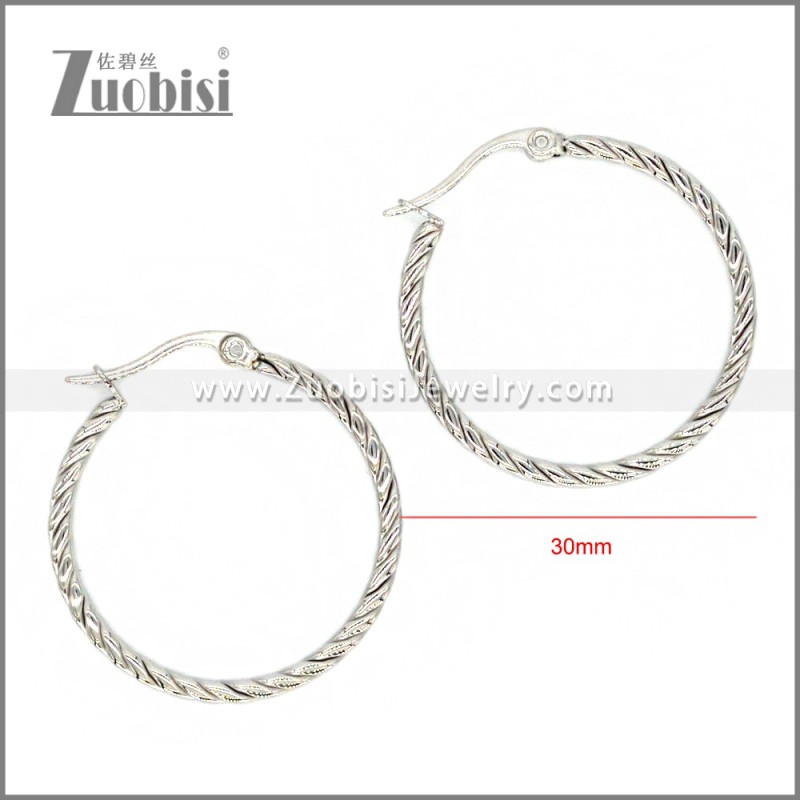 Stainless Steel Earring e002291