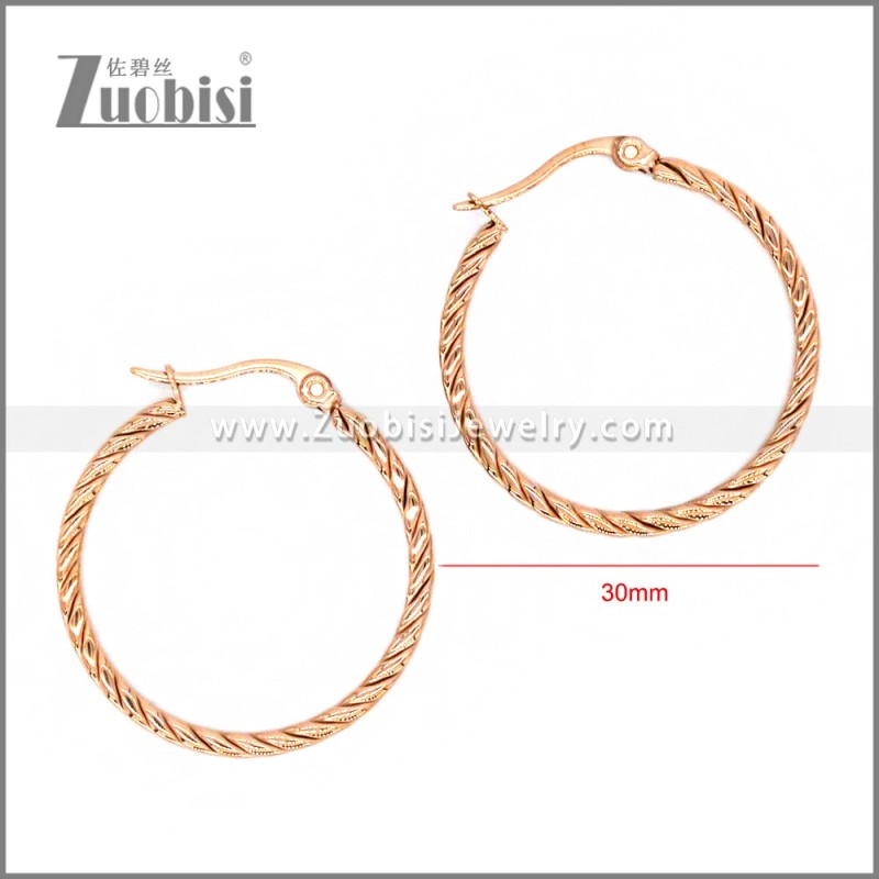 Stainless Steel Earring e002293