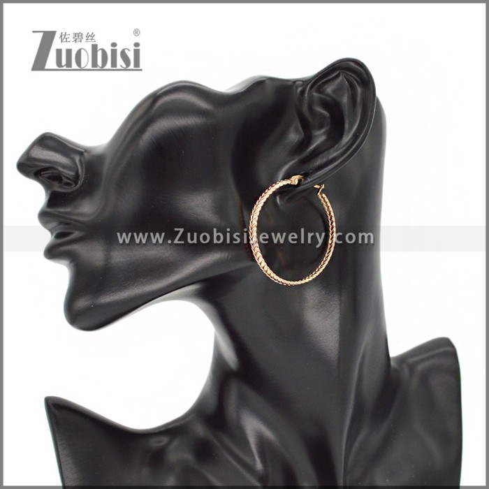 Stainless Steel Earring e002290