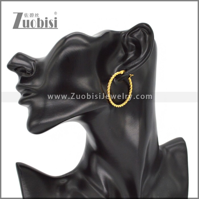 Stainless Steel Earring e002292