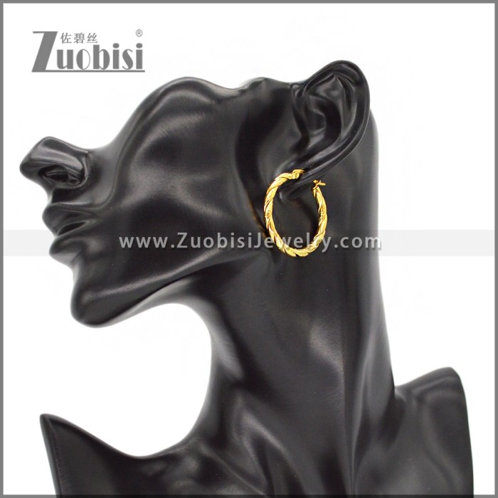 Stainless Steel Earring e002304