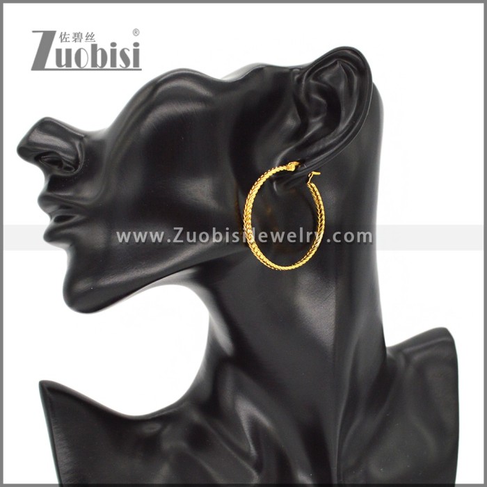Stainless Steel Earring e002289