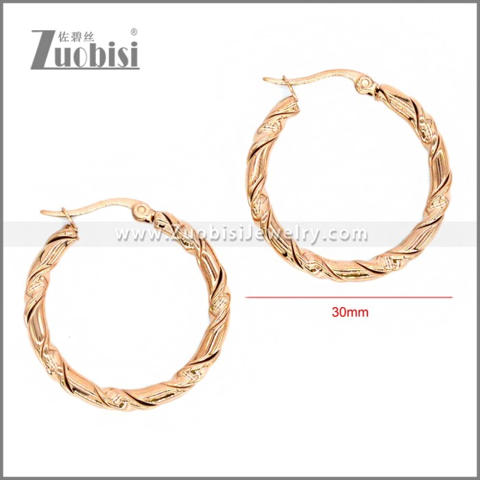 Stainless Steel Earring e002302