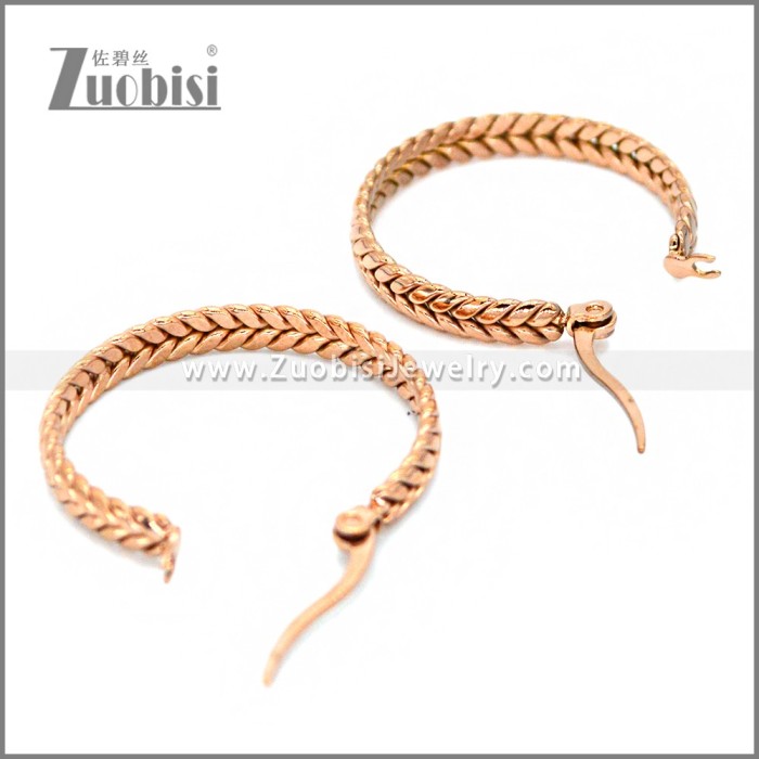 Stainless Steel Earring e002287