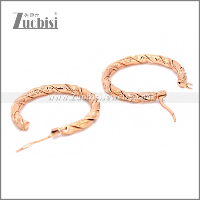 Stainless Steel Earring e002302