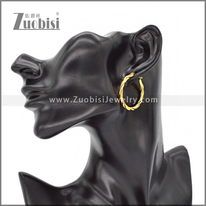Stainless Steel Earring e002307