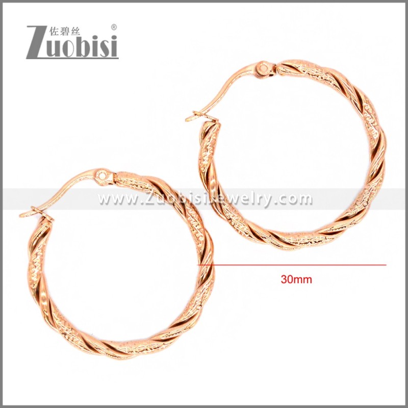 Stainless Steel Earring e002308