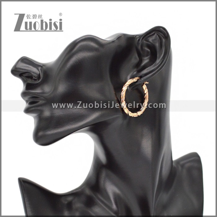 Stainless Steel Earring e002302