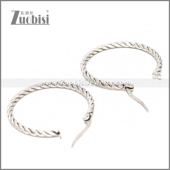 Stainless Steel Earring e002291